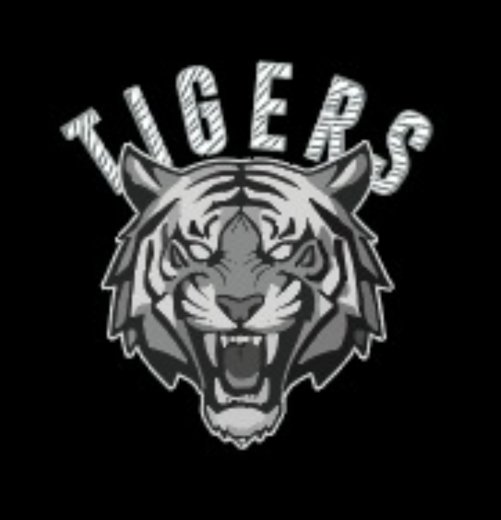 HONG KONG TIGERS